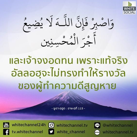 بروشور دعوي